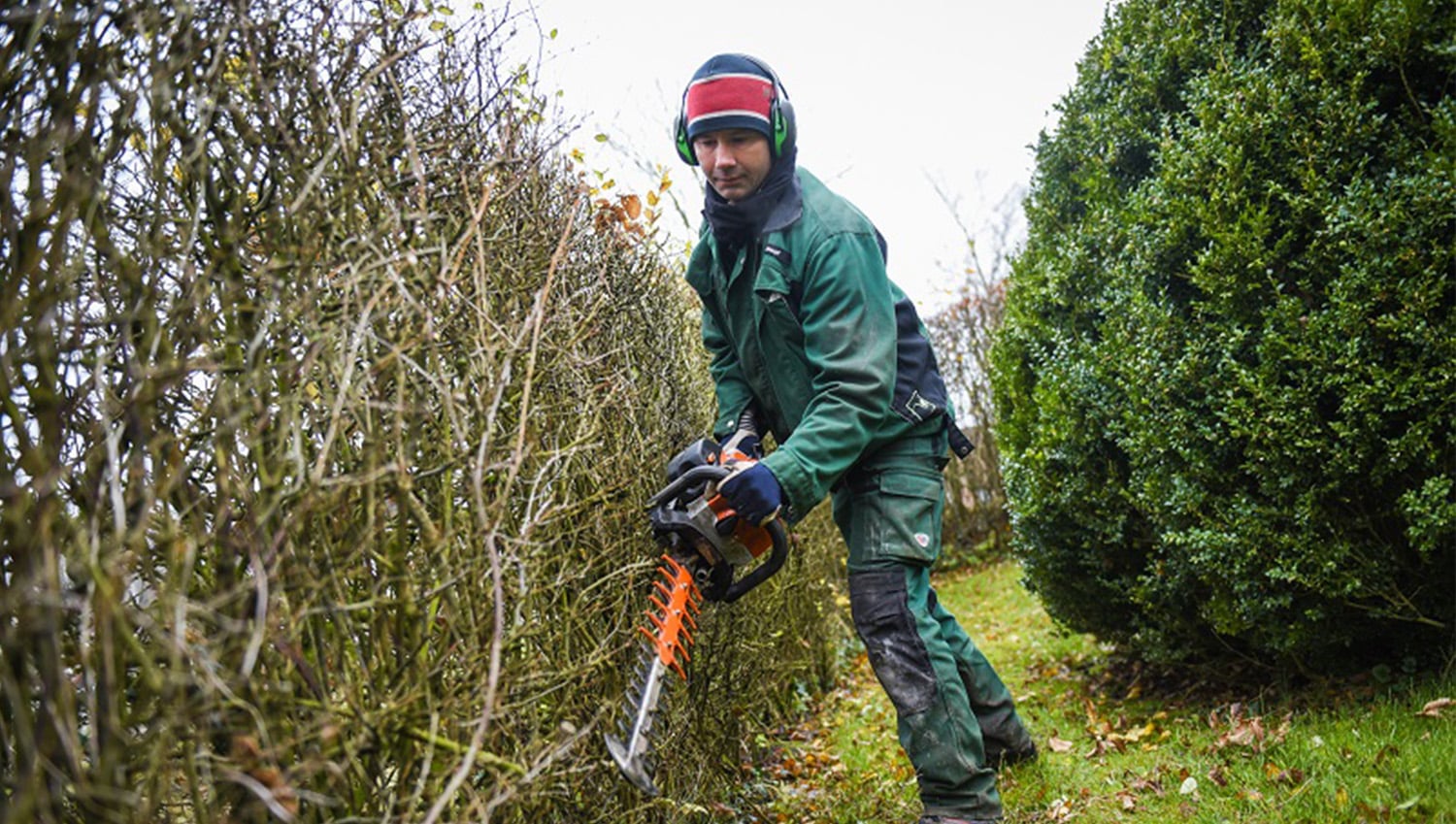 Hauswartung und Gartenpflege